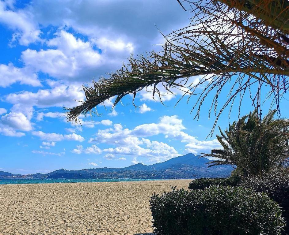 Joli Studio Cabine 4 Personnes A 300 M De La Plage Argelès-sur-Mer Buitenkant foto