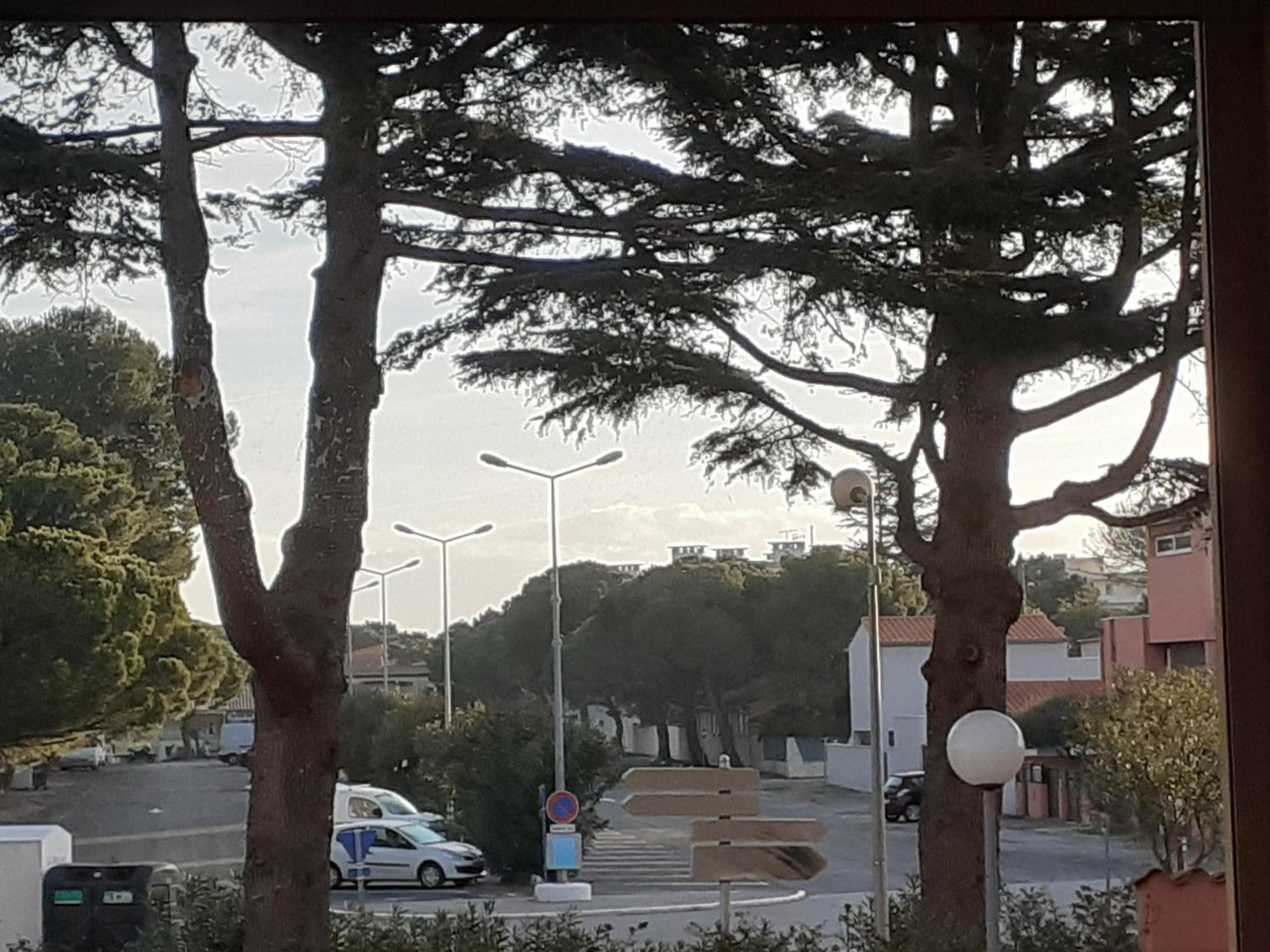 Joli Studio Cabine 4 Personnes A 300 M De La Plage Argelès-sur-Mer Buitenkant foto